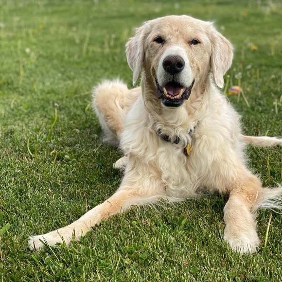 Meet your Posher, Kate - Picture 1 of 1